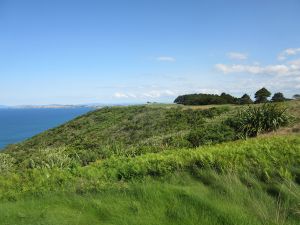 Kauri Cliffs 15th Tips